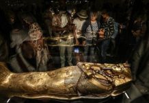 عرض مجموعة توت عنخ آمون لأوّل مرة في المتحف المصري الكبير عرض مجموعة توت عنخ آمون لأوّل مرة في المتحف المصري الكبير