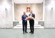 لقاء تونسي– مصري لتعزيز التعاون لقاء تونسي– مصري لتعزيز التعاون