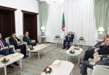 “توافق كامل في الرؤى والمواقف بين الجزائر ومصر” "توافق كامل في الرؤى والمواقف بين الجزائر ومصر"