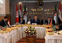 دول جوار ليبيا تحث على إخراج المرتزقة وإجراء انتخابات عامة دول جوار ليبيا تحث على إخراج المرتزقة وإجراء انتخابات عامة