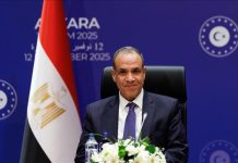 عبد العاطي: ننسق مع تركيا بشأن مفاوضات نشر قوة دولية في غزة عبد العاطي: ننسق مع تركيا بشأن مفاوضات نشر قوة دولية في غزة