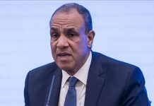 عبد العاطي: القوة الدولية بغزة يجب أن تكون جزءا من مهمة حفظ السلام عبد العاطي: القوة الدولية بغزة يجب أن تكون جزءا من مهمة حفظ السلام