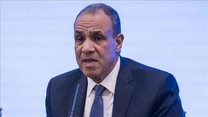 عبد العاطي: القوة الدولية بغزة يجب أن تكون جزءا من مهمة حفظ السلام