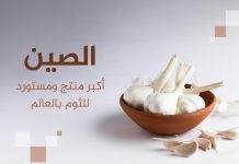 أكبر 10 دول منتجة ومصدرة للثوم في العالم.. مفاجآت عربية في القائمة أكبر 10 دول منتجة ومصدرة للثوم في العالم.. مفاجآت عربية في القائمة