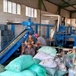 احتفالات شعبية في مصر بحصاد الزيتون رغم تراجع الأسعار احتفالات شعبية في مصر بحصاد الزيتون رغم تراجع الأسعار