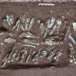 مصر تعثر على 225 تمثالا فرعونيا وتكتشف هوية تابوت “غامض” مصر تعثر على 225 تمثالا فرعونيا وتكتشف هوية تابوت "غامض"