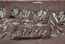 مصر تعثر على 225 تمثالا فرعونيا وتكتشف هوية تابوت “غامض” مصر تعثر على 225 تمثالا فرعونيا وتكتشف هوية تابوت "غامض"