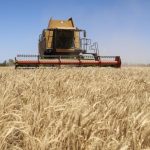 الحرب الروسية الأوكرانية ترفع كلفة الخبز في مصر وأفريقيا الحرب الروسية الأوكرانية ترفع كلفة الخبز في مصر وأفريقيا