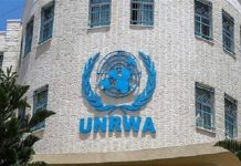 مصر ترحب بتجديد ولاية وكالة غوث وتشغيل اللاجئين الفلسطينيين مصر ترحب بتجديد ولاية وكالة غوث وتشغيل اللاجئين الفلسطينيين