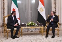 عام من الجمود.. ما العوامل الحاكمة للعلاقات بين القاهرة ودمشق عام من الجمود.. ما العوامل الحاكمة للعلاقات بين القاهرة ودمشق