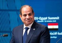 لقاء السيسي ونتنياهو “غير مناسب في هذا التوقيت” لقاء السيسي ونتنياهو "غير مناسب في هذا التوقيت"