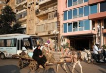 تباطؤ التضخم في مصر إلى 12.3% خلال نوفمبر لأدنى مستوى في ثلاثة أعوام تباطؤ التضخم في مصر إلى 12.3% خلال نوفمبر لأدنى مستوى في ثلاثة أعوام