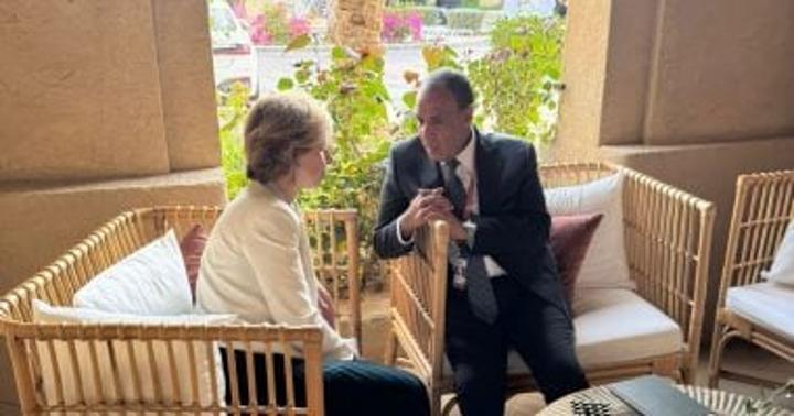 مباحثات مصرية فرنسية حوّل تطورات الأوضاع في السودان مباحثات مصرية فرنسية حوّل تطورات الأوضاع في السودان