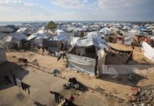 قرارين يؤكدان الحقوق غير القابلة للتصرف للفلسطينيين قرارين يؤكدان الحقوق غير القابلة للتصرف للفلسطينيين