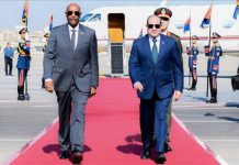 البرهان يصل القاهرة لبحث تطورات السودان وتعزيز العلاقات مع مصر البرهان يصل القاهرة لبحث تطورات السودان وتعزيز العلاقات مع مصر