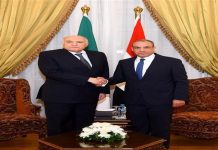 وزير الخارجية يلتقي نظيره الجزائري لمناقشة الأوضاع في المنطقة وزير الخارجية يلتقي نظيره الجزائري لمناقشة الأوضاع في المنطقة