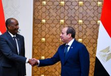 مصر من الدعم السياسي إلى التلويح العسكري في السودان مصر من الدعم السياسي إلى التلويح العسكري في السودان