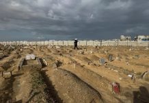 اجتماع رباعي في ميامي لبحث الانتقال إلى المرحلة الثانية من اتفاق غزة اجتماع رباعي في ميامي لبحث الانتقال إلى المرحلة الثانية من اتفاق غزة