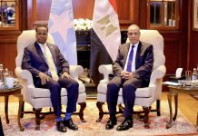 مصر تؤكد دعمها الأمني للصومال وتتعهد بالتعاون في مكافحة حركة الشباب مصر تؤكد دعمها الأمني للصومال وتتعهد بالتعاون في مكافحة حركة الشباب