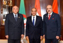 القاهرة تكشف تفاصيل اجتماع ثلاثي حول ليبيا بمشاركة الجزائر وتونس القاهرة تكشف تفاصيل اجتماع ثلاثي حول ليبيا بمشاركة الجزائر وتونس