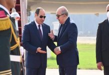 رد مصري على المخاوف الاسرائيلية من التقارب بين القاهرة والجزائر رد مصري على المخاوف الاسرائيلية من التقارب بين القاهرة والجزائر