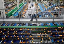 تسهيلات ضخمة للمشروعات الصناعية المتعثرة تسهيلات ضخمة للمشروعات الصناعية المتعثرة