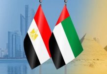 اتفاق مصري إماراتي على التهدئة وخفض التصعيد وحماية سيادة اليمن اتفاق مصري إماراتي على التهدئة وخفض التصعيد وحماية سيادة اليمن