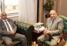 مصر والسودان يبحثان مشروع خط الربط الكهربائي مزدوج الدائرة مصر والسودان يبحثان مشروع خط الربط الكهربائي مزدوج الدائرة