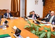 أولوية الدائرة الإفريقية في السياسة الخارجية المصرية أولوية الدائرة الإفريقية في السياسة الخارجية المصرية