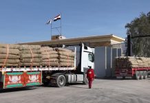 مساعدات طبية وغذائية، الهلال الأحمر المصري يرسل القافلة 123 إلى غزة مساعدات طبية وغذائية، الهلال الأحمر المصري يرسل القافلة 123 إلى غزة