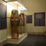 المتحف المصري بالتحرير يبهر جمهوره بعرض 15 تابوتا لأول مرة المتحف المصري بالتحرير يبهر جمهوره بعرض 15 تابوتا لأول مرة
