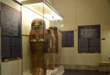 المتحف المصري بالتحرير يبهر جمهوره بعرض 15 تابوتا لأول مرة المتحف المصري بالتحرير يبهر جمهوره بعرض 15 تابوتا لأول مرة
