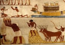 “المصريون القدماء أول من أسس جهاز المخابرات” "المصريون القدماء أول من أسس جهاز المخابرات"