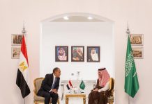 مصر والسعودية ترفضان التصعيد واستخدام القوة بالمنطقة مصر والسعودية ترفضان التصعيد واستخدام القوة بالمنطقة