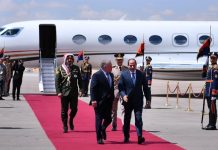 مصر والأردن يؤكدان ضروة التنفيذ الكامل لاتفاق وقف حرب غزة مصر والأردن يؤكدان ضروة التنفيذ الكامل لاتفاق وقف حرب غزة