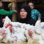 مصر… غلاء الأسواق يهزم أرقام التضخم مصر... غلاء الأسواق يهزم أرقام التضخم