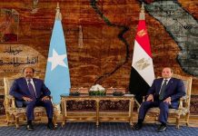 رسائل السيسي لرؤساء الإمارات والصومال والنيباد رسائل السيسي لرؤساء الإمارات والصومال والنيباد