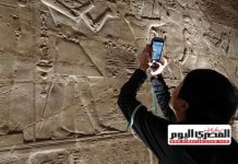 قدسية الحب في حياة المصري القديم وتأثيرها قدسية الحب في حياة المصري القديم وتأثيرها