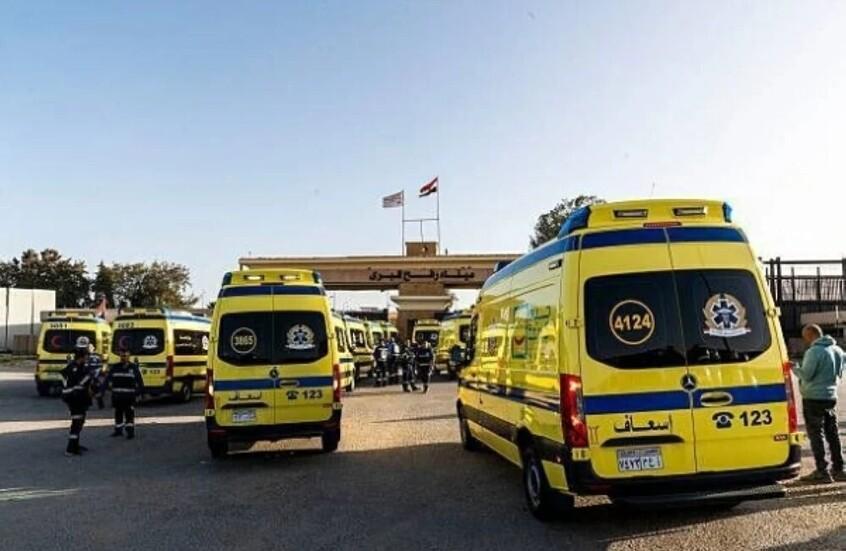 معبر رفح يستقبل 56 فلسطينيا بينهم 21 مصابا معبر رفح يستقبل 56 فلسطينيا بينهم 21 مصابا