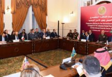 تفاصيل عرض الجيش اللبناني في اجتماع القاهرة تفاصيل عرض الجيش اللبناني في اجتماع القاهرة