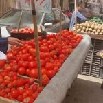 نقيب الفلاحين يتوقع عودة سعر الطماطم لـ10 جنيهات نقيب الفلاحين يتوقع عودة سعر الطماطم لـ10 جنيهات