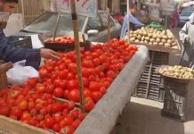 نقيب الفلاحين يتوقع عودة سعر الطماطم لـ10 جنيهات نقيب الفلاحين يتوقع عودة سعر الطماطم لـ10 جنيهات