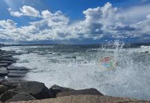 الأرصاد: الطقس المتوقع طبيعي ولا يستدعي القلق الأرصاد: الطقس المتوقع طبيعي ولا يستدعي القلق