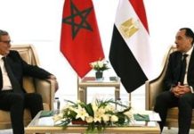 توسيع التعاون بين مصر والمغرب لمواجهة التحديات توسيع التعاون بين مصر والمغرب لمواجهة التحديات