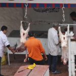 كيف أثر إغلاق هرمز على أسعار الأضاحي في مصر؟ كيف أثر إغلاق هرمز على أسعار الأضاحي في مصر؟