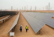 3 شركات إماراتية تستحوذ على الطاقة المتجددة في مصر 3 شركات إماراتية تستحوذ على الطاقة المتجددة في مصر