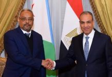 وزيرا خارجية مصر وجيبوتي يبحثان تعزيز التعاون وأمن القرن الإفريقي وزيرا خارجية مصر وجيبوتي يبحثان تعزيز التعاون وأمن القرن الإفريقي