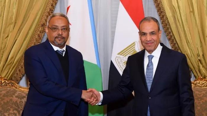 وزيرا خارجية مصر وجيبوتي يبحثان تعزيز التعاون وأمن القرن الإفريقي وزيرا خارجية مصر وجيبوتي يبحثان تعزيز التعاون وأمن القرن الإفريقي