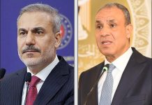 وزيرا خارجية مصر وتركيا يبحثان “الترتيبات الأمنية الإقليمية”
