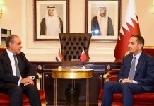 مباحثات مصرية قطرية تتناول الأوضاع الإقليمية مباحثات مصرية قطرية تتناول الأوضاع الإقليمية